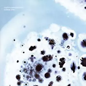 ENDING STORY/world's end girlfriend/ワールズ・エンド・ガール