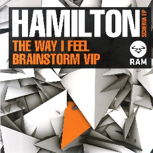 WILLIAM HAMILTON / ウィリアム・ハミルトン / Way I Feel/Brainstorm Vip