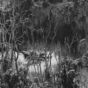 LEVANTIS / レヴァンティス / Believe EP