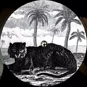 TIGERSKIN / タイガースキン / TRY THE IMPOSSIBLE EP