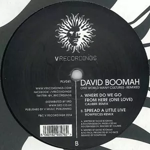 DAVID BOOMAH / ONE WORLD MANY REMIXES