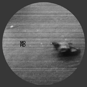 SHARDS (BERLIN) / ROWING SHEEP SMILE FOR THE DEAD EP