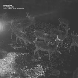 CASSEGRAIN / TIAMAT RMXS