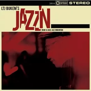 V.A.(DAVE OWEN,FLACO,SUNNY CRIMEA...) / LTJ BUKEM'S JAZZ'N DRUM & BASS JAZZ INNOVATION 