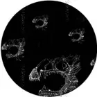 LUKE HESS / ルーク・ヘス / COMMUNITY EP