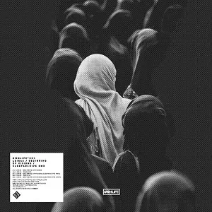LEIRAS / BEGINNING OF VISIONS (SLEEPARCHIVE REMIX)