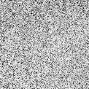 EKMAN / ENTROPY