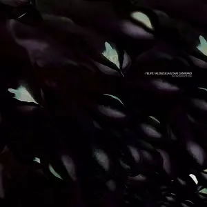 FELIPE VALENZUELA & DANI CASARANO / INTROSPECTION