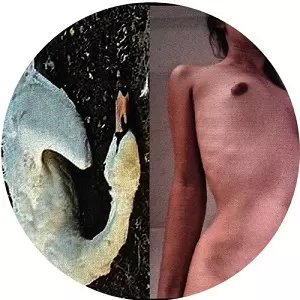 ALEXEY VOLKOV / アレクセイ・ヴォルコフ / ISSUE NO7