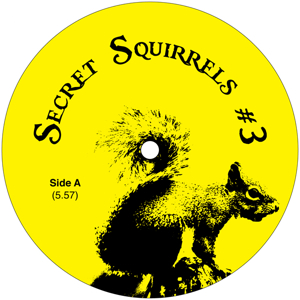 SECRET SQUIRRELS / #3