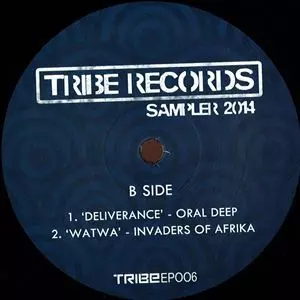 V.A.(DRUM,DANCE RELEASE,DANCE RELEASE...) / TRIBE RECORDS SAMPLER 2014