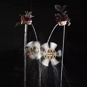 SHIELD PATTERNS / CONTOUR LINES