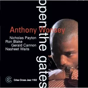 【中古】 Another Perspective AnthonyWonseyTrioアンソニー・ウォンジー・トリオ ANTHONY WONSEY TRIO - ANOTHER PERSPECTIVE - Jazz Records seeed