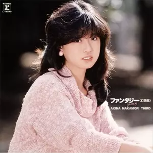ファンタジー〈幻想曲〉/AKINA NAKAMORI/中森明菜｜日本のロック
