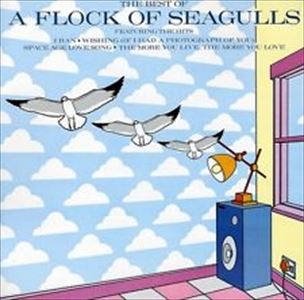 A FLOCK OF SEAGULLS / ア・フロック・オブ・シーガルズ商品一覧