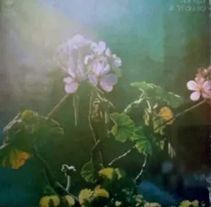 SPINETTA / スピネッタ / A 18' DEL SOL