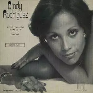 CINDY RODRIGUEZ / シンディー・ロドリゲス / WHAT YOU NEED IS MY LOVE