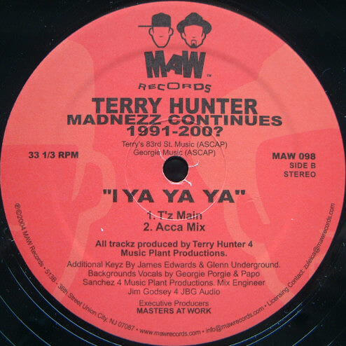 TERRY HUNTER / MADNEZZ CONTINUES 1991-200?