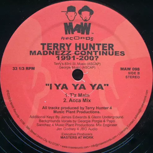 TERRY HUNTER / MADNEZZ CONTINUES 1991-200?