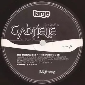 GABRIEL (WHITE VINYL)/ROY DAVIS JR./ロイ・デイヴィスJr./PEVEN