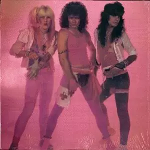 IN THE PINK/DIZZY BITCH｜HARDROCK & HEAVYMETAL｜ディスクユニオン