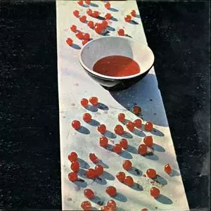 MCCARTNEY/PAUL McCARTNEY/ポール・マッカートニー｜OLD ROCK