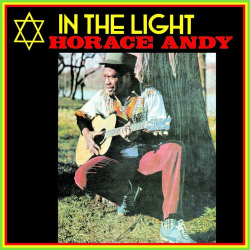IN THE LIGHT DUB/HORACE ANDY/ホレス・アンディ/77年作、オリジナル 