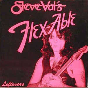 FLEX-ABLE LEFTOVERS/STEVE VAI/スティーヴ・ヴァイ｜HARDROCK 