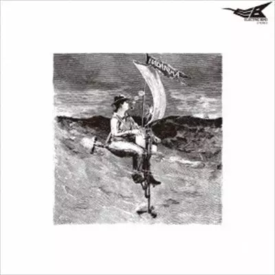 森園勝敏／バッド・アニマ、レコード盤ほぼ新品 バッド・アニマ/KATSUTOSHI MORIZONO/森園勝敏｜日本のロック