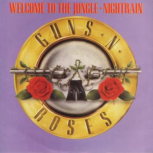 GUNS N' ROSES / ガンズ・アンド・ローゼズ / WELCOME TO THE JUNGLE / NIGHTRAIN