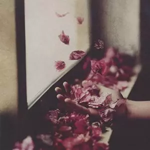 PETRE INSPIRESCU / ペトレ・インスピレスク / VINTUL PRIN SALCII