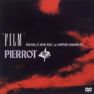 FILM RISING A [MAD SKY] AT NIPPON BUDOKAN/PIERROT｜日本のロック