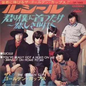 ルシール/THE GOLDEN CUPS/ザ・ゴールデン・カップス｜日本のロック