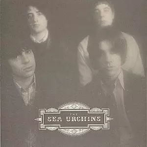 SEA URCHINS / シー・アーチンズ / PLEASE DON'T CRY