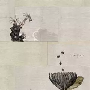 TAPE / テープ / MILIEU PLUS