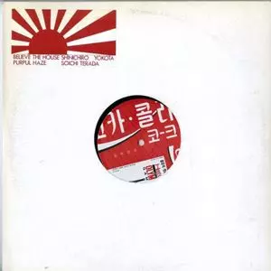SOICHI TERADA / 寺田創一 / BELIEVE THE HOUSE / PURPUL HAZE