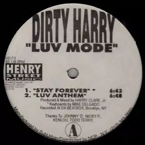 DIRTY HARRY / LUV MODE