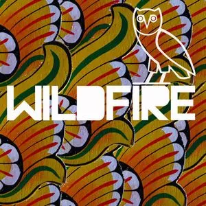 SBTRKT / サブトラクト / WILDFIRE
