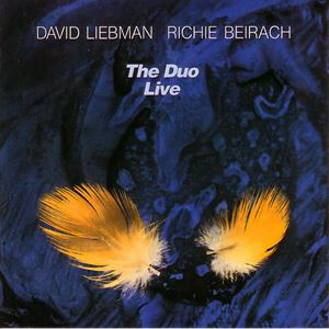 DAVID LIEBMAN / デイヴ・リーブマン / THE DUO LIVE