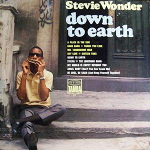 STEVIE WONDER / スティーヴィー・ワンダー / DOWN TO EARTH