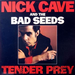 NICK CAVE / ニック・ケイヴ / TENDER PREY