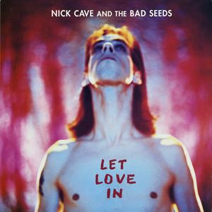 NICK CAVE & THE BAD SEEDS / ニック・ケイヴ&ザ・バッド・シーズ / LET LOVE IN