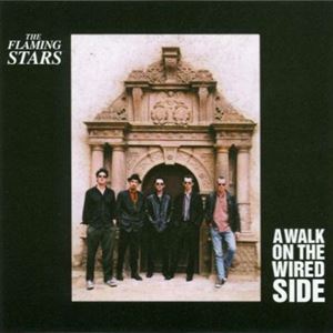 FLAMING STARS / A WALK ON THE WIRED