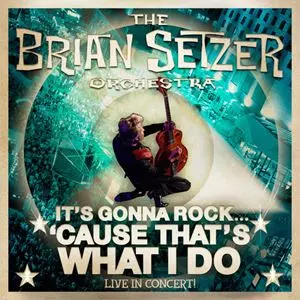 IT'S GONNA ROCK 'CAUSE THAT'S WHAT I DO/BRIAN SETZER