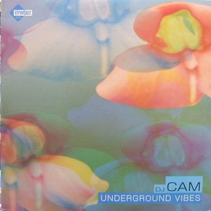 DJ CAM / DJカム / UNDERGROUND VIBES 