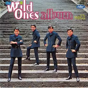 THE WILD ONES / ザ・ワイルド・ワンズ / ワイルド・ワンズ・アスバム VOL.2