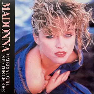 Madonna Into the Groove シェイプレコード　マドンナ Madonna – Into The Groove – Vinyl (7