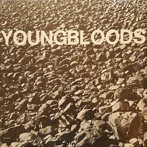 YOUNGBLOODS / ヤングブラッズ / ROCKFESTIVAL