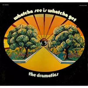 DRAMATICS / ドラマティックス / WHATCHA SEE IS WHATCHA GET