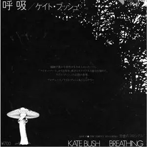 KATE BUSH / ケイト・ブッシュ / 呼吸/空虚のコロシアム